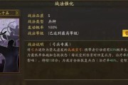新手攻略视频教你如何正确出装赵云（打造无敌赵云必备神装，让你一战成名！）