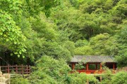 《边城刘邦出装顺序攻略》（刘邦出装顺序攻略详解及实战技巧）