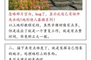 揭秘田园小院游戏骗局的攻略（保护自己免受骗局侵害，）