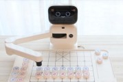 棋飞机人出装攻略（打造强大的飞机人出装方案，让你成为战场上的终结者）